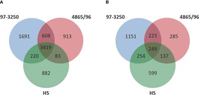 Comparative Transcriptomics of Shiga Toxin-Producing and Commensal Escherichia coli and Cytokine Responses in Colonic Epithelial Cell Culture Infections